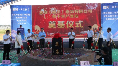 yl23455�������޹�˾�տ���������ص������Բ���ɹ���